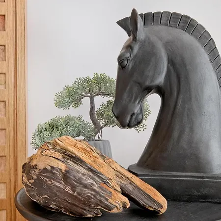 Narciarski Odkryj * Zakopane